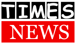 logo of times news hub