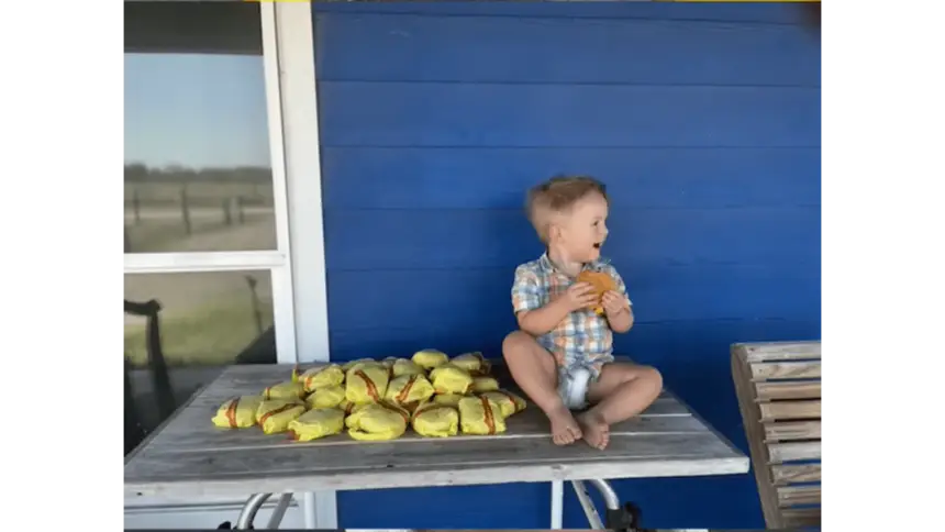 2 Year Old Boy Orders 31 Cheese Burgers from Door Dash